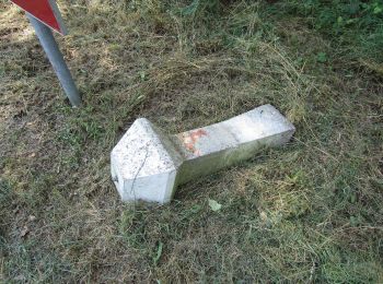 Tocht Te voet Berkelland - Needse Achterveld en 't Vleer - Photo