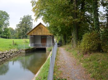 Percorso A piedi Uster - Oberuster - Aathal - Photo