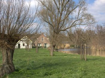 Trail On foot Stichtse Vecht - Groene Wissel: Breukelen (1) - Photo
