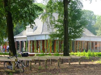 Tour Zu Fuß Oisterwijk - Blauw - Photo