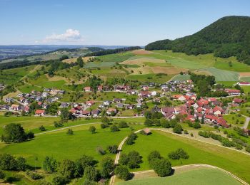 Tour Zu Fuß Kaisten - Ittenthal - Frick - Photo