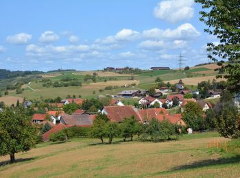 Tour Zu Fuß Gansingen - Laubberg - Wil - Photo