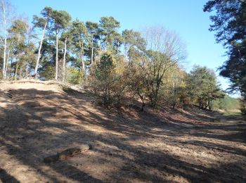 Tour Zu Fuß Hellendoorn - WNW Twente -Wilgenweerd - rode route - Photo