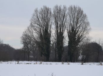 Tour Zu Fuß Hengelo - Wandelnetwerk Twente - gele route - Photo