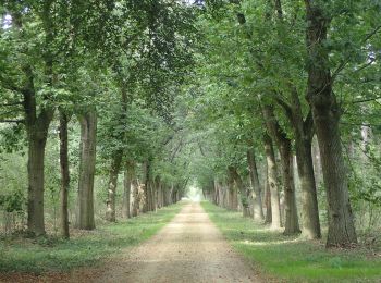 Randonnée A pied Alphen-Chaam - Smokkelroute - Photo