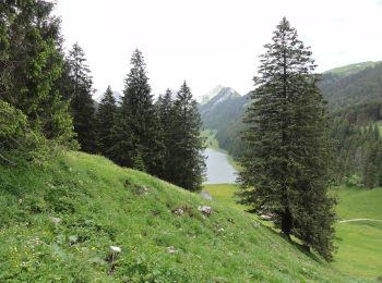 Percorso A piedi Rüte - Ruhsitz - Rainhütte - Photo