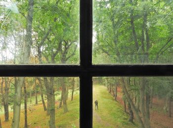 Tour Zu Fuß Bloemendaal - Vinkenduin en Oud Woestduin - Photo