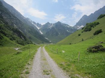 Tocht Te voet Attinghausen - CH-Langschnee - Höchiberg - Photo