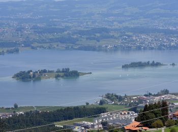 Tour Zu Fuß Feusisberg - Schindellegi - Feusisberg (Moos) - Photo