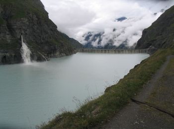 Tour Zu Fuß Val de Bagnes - Barrage de Mauvoisin - Le Pleureur - Photo