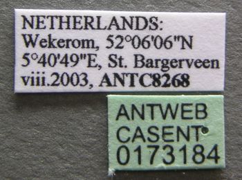 Tour Zu Fuß Ede - Welkom op het Wekeromse Zand! - Photo