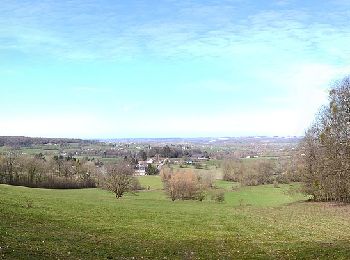 Trail On foot Vaals - Vaals V4 - Photo