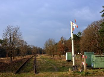 Percorso A piedi Berg en Dal - Kraaiendalroute - Photo