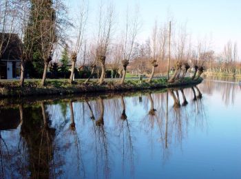 Randonnée A pied Krimpenerwaard - Cabauwse Jacobsroute - Photo