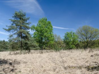 Tocht Te voet Roerdalen - Meinvennen - Photo