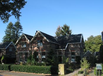 Tocht Te voet Ommen - WNW Vechtdal -Balkbrug/ Ommerschans - paarse route - Photo