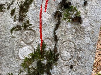 Tour Zu Fuß Val-de-Travers - Pouetta Raisse-Môtiers - Photo