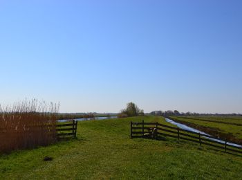 Trail On foot Bodegraven-Reeuwijk - Bruinegoudroute - Photo