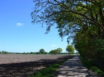 Trail On foot Haaksbergen - Wandelnetwerk Twente - groene route - Photo