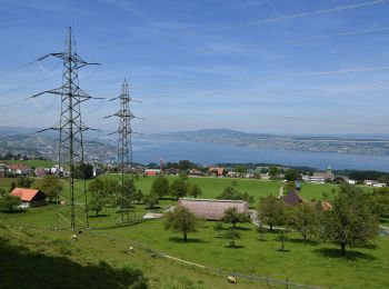 Tour Zu Fuß Feusisberg - Panoramaweg March Höfe - Photo