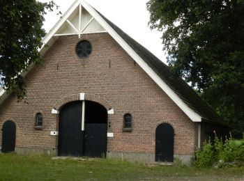 Trail On foot Dinkelland - Wandelnetwerk Twente - paarse route - Photo