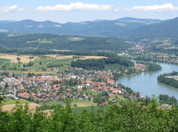 Excursión A pie Maisprach - Sunneberg - Spitzgraben - Photo