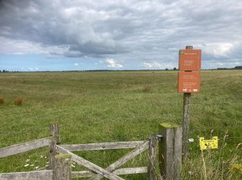 Tour Zu Fuß Noardeast-Fryslân - Vogelroute - Photo