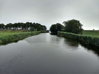 Trail On foot Bodegraven-Reeuwijk - Wierickepad - Photo