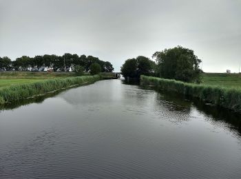 Randonnée A pied Bodegraven-Reeuwijk - Wierickepad - Photo