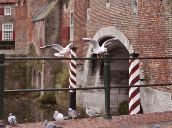 Trail On foot Amersfoort - Landschapspad Hoogland-West - Photo