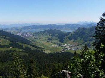 Trail On foot Schwyz - Teuffeli - Brüschrainhöchi - Photo