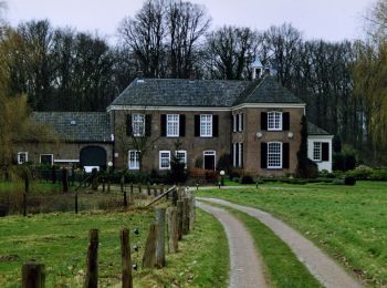 Trail On foot Montferland - Liemers Knooppad 6 - Photo