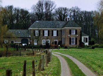 Tour Zu Fuß Montferland - Liemers Knooppad 6 - Photo