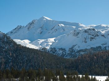 Tocht Te voet Zernez - Nationalpark Wanderroute 16 (Fuorntal) - Photo