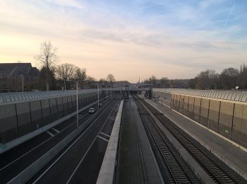 Tour Zu Fuß Hellendoorn - WNW Twente - Wilgenweerd - gele route - Photo