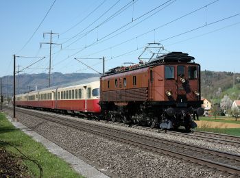 Tour Zu Fuß Hornussen - Wettacher - Frick - Photo