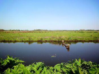 Excursión A pie De Bilt - NL-U31 - Photo