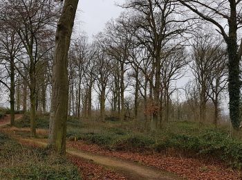 Randonnée A pied Valkenburg aan de Geul - VA8 - Photo