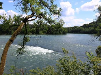 Tocht Te voet Koblenz - Koblenz - Acheberg - Photo