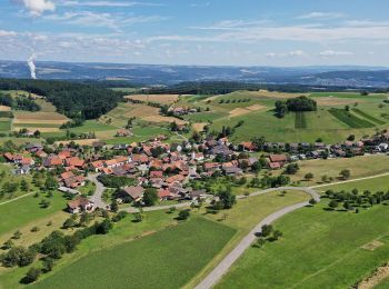 Trail On foot Remigen - Bürersteig - Mandach - Photo
