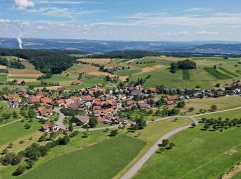 Excursión A pie Remigen - Bürersteig - Mandach - Photo