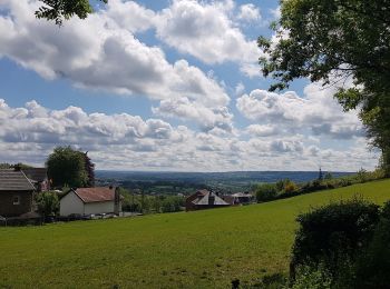Trail On foot Vaals - Vaals V12 - Photo