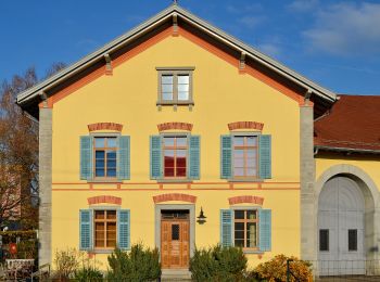 Randonnée A pied Uster - Uster - Bubikon - Photo