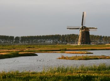 Percorso A piedi Koggenland - Rondje Wogmeer - Photo