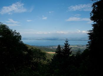 Tocht Te voet Rochefort - La Tourne-Noiraigue - Photo