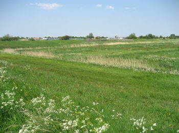 Tour Zu Fuß Kaag en Braassem - Zwetpolderroute - Photo