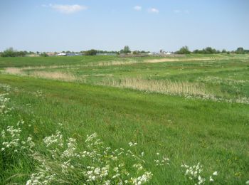 Randonnée A pied Kaag en Braassem - Zwetpolderroute - Photo