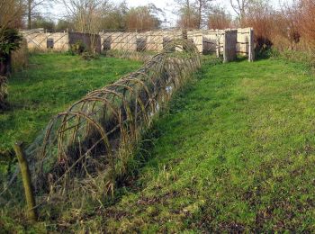 Percorso A piedi West Betuwe - Wandelroute Laarzenpad 't Broek - Photo