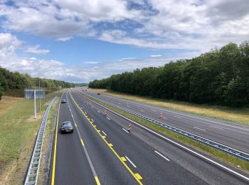 Percorso A piedi Rijssen-Holten - WNW Twente Look - paarse route - Photo