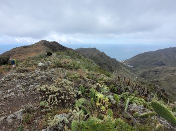 Tour Wandern Santa Cruz de Tenerife - Igueste - Punta de Antequera - Photo